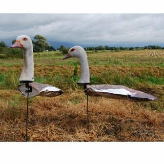 Nijlgans lokvogel met kop 10stuks -6x kop foeragerend / 4x kop hoog.