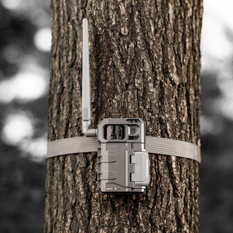 SPYPOINT LM2 trail camera