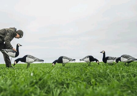 DKwai Lock on decoy Barnacle, brandganzen lokkers met tas 12 stuks