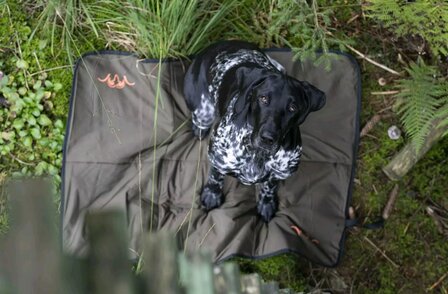 Blaser Dog Blanket olive70 x 100 cm hondenkleed oprolbaar