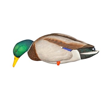 Avian-X AXP Full Body Mallard Fusion Pack Lokeenden