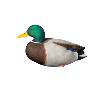 Avian-X AXP Full Body Mallard Fusion Pack Lokeenden