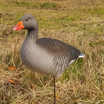 LF90&nbsp;12 GHG Full Body  grauwe gans lokkers inclusief draagtas