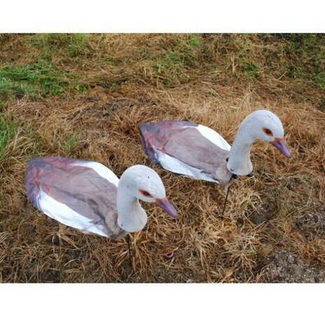 Nijlgans lokvogel met kop 10stuks -6x kop foeragerend / 4x kop hoog.