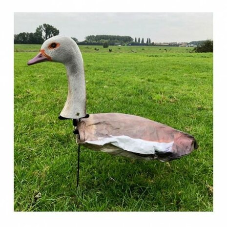 Nijlgans lokvogel met kop 10stuks -6x kop foeragerend / 4x kop hoog.