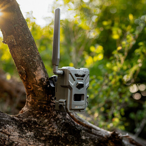 SPYPOINT Flex E-36 trail camera