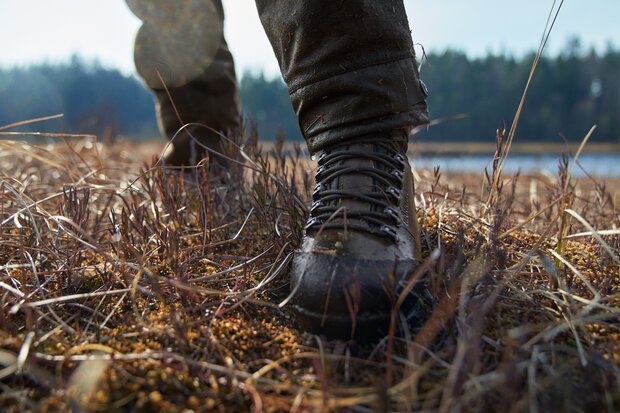   Forest Hunter Hi GTX, willow green