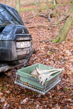 Wildbak met sleep handvat, zeer robuust, ideaal voor het bergen van wild. 