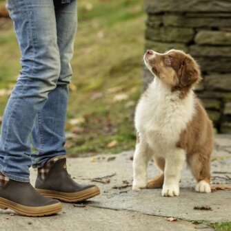 Muck Boot Muck Originals Pull On Ankle - Brown/Plaid